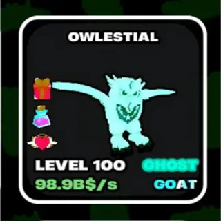 40kg owl