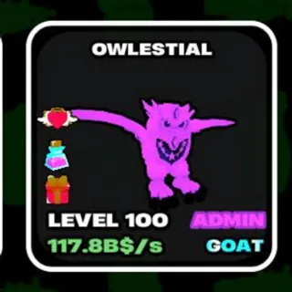 ADMIN OWL 40KG