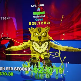 11kg Owl magical