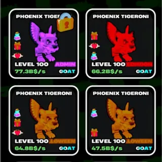 PHOINEX PACK 40KG
