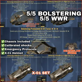 X-01 BOLSTERING WWR