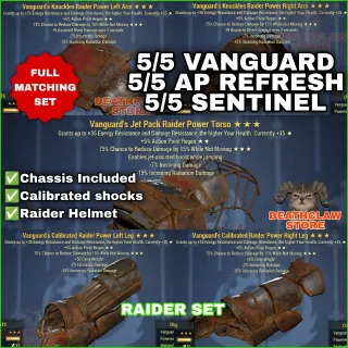 RAIDER VANGUARD AP SENTINEL