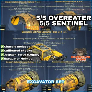 EXCAVATOR OVEREATER SENTINEL