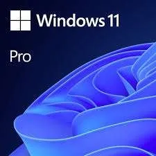 Windows 11 Pro