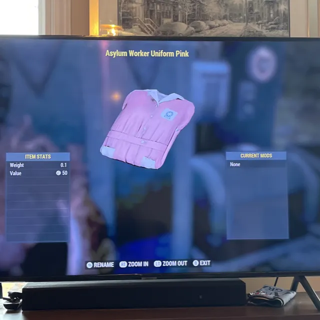 Pink Asylum - Fallout 76 Game Items - Gameflip