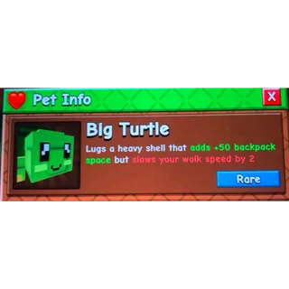 Big turtle | gag 2