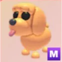 mega toy poodle