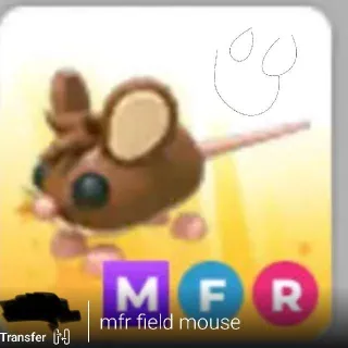 MFR Field Mouse