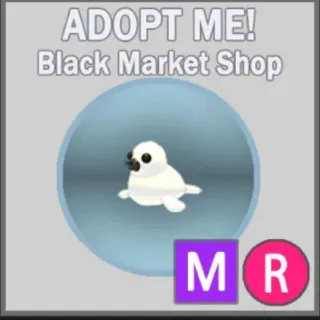 MR Harp Seal