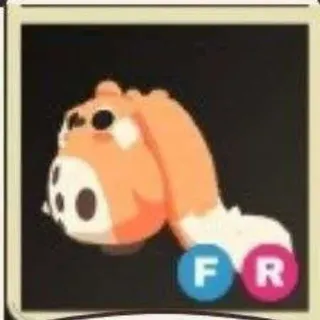 FR Cabbit