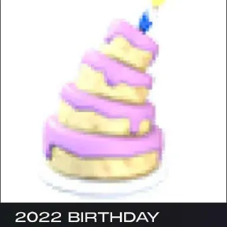 2022 Birthday Cake Hat