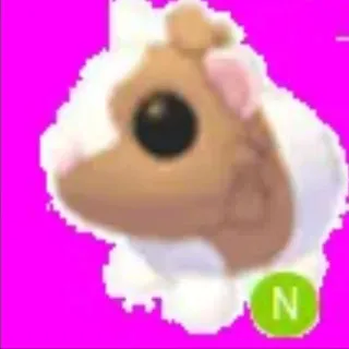 Neon Guinea Pig
