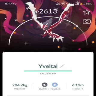 Shiny Yveltal With Bg