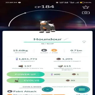 Houndour
