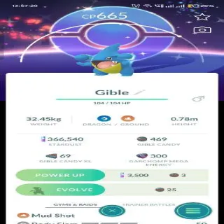 Shiny Gible with BG