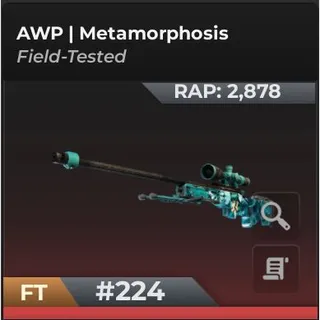 AWP Metamorphosis (Field Tested) | BloxStrike