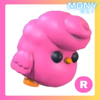 R CANDYFLOSS CHICK 
