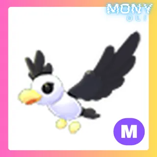 MEGA NEON PILOT GULL