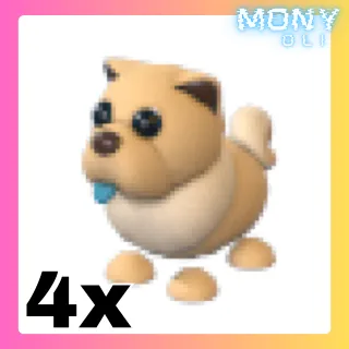 4X TAN CHOW-CHOW 