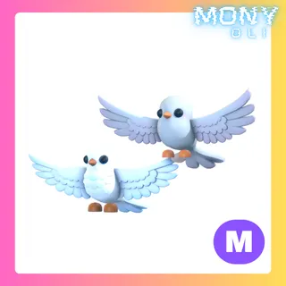 MEGA NEON TURTLE DOVES