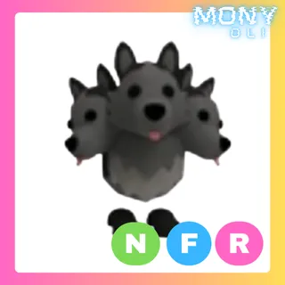 NFR CERBERUS