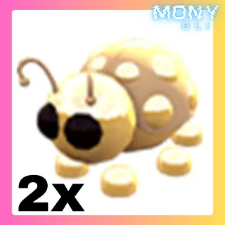 2X GOLDEN LADYBUG 