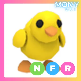 NFR CHICK 