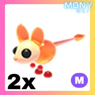 2X MEGA NEON JIGGLY JERBOA