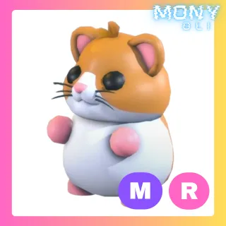 MR HAMSTER