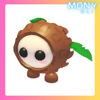 COCONUT FRIEND