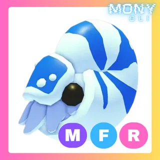 MFR NAUTILUS