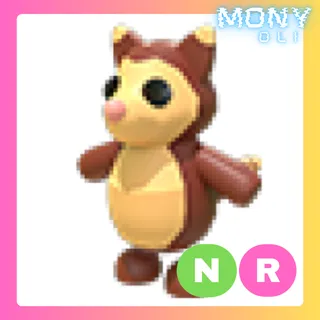 NR TREE KANGAROO