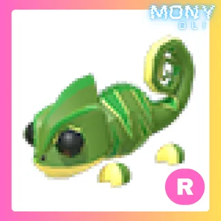 R CHAMELEON