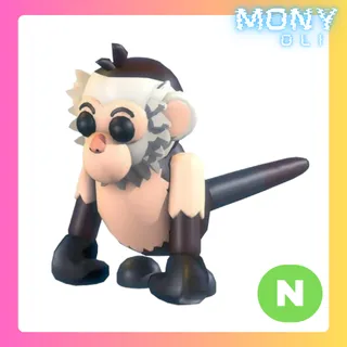 NEON CAPUCHIN MONKEY 