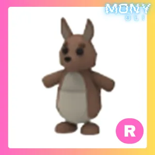 R KANGAROO