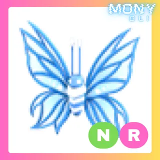 NR BIRTHDAY BUTTERFLY 2024 