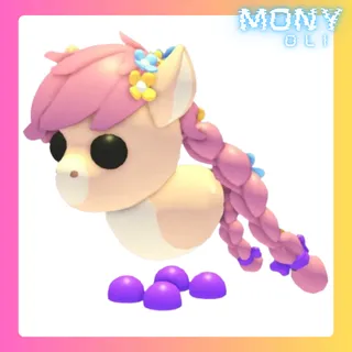 MAJESTIC PONY