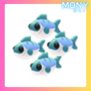 MANY MACKEREL