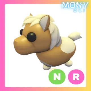 NR SHETLAND PONY LIGHT BROWN