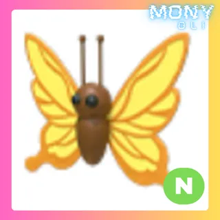 NEON YELLOW BUTTERFLY