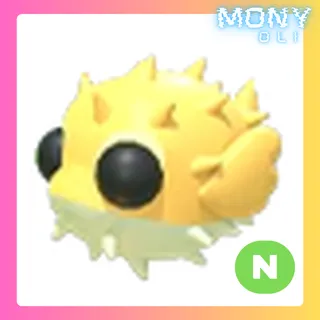 NEON PUFFER FISH