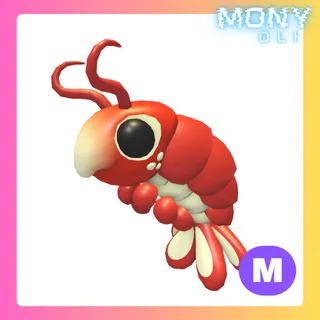 MEGA NEON EMPEROR SHRIMP 