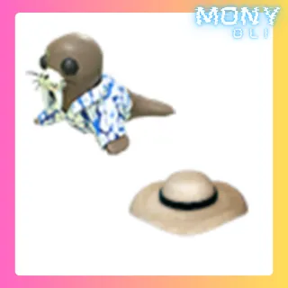 SUMMER WALRUS + SUMMER WALRUS SUNHAT