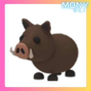 WILD BOAR