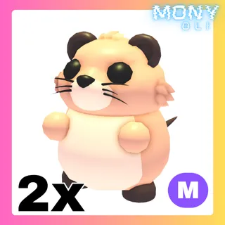 2X MEGA NEON MUSKRAT 