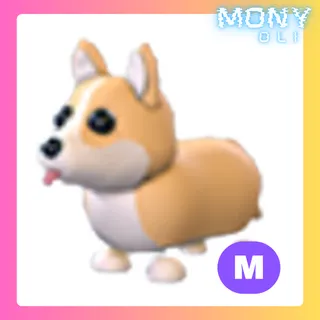 MEGA NEON CORGI