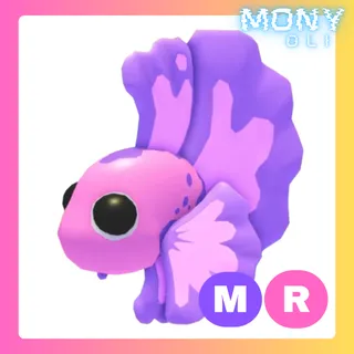 MR PINK BETTA FISH