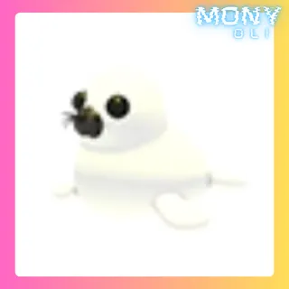 HARP SEAL