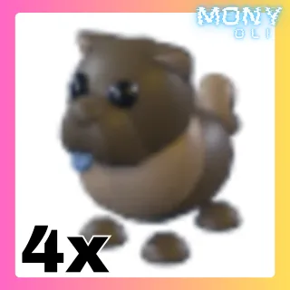 4X CHOCOLATE CHOW-CHOW