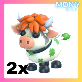 2X CLOVER COW 